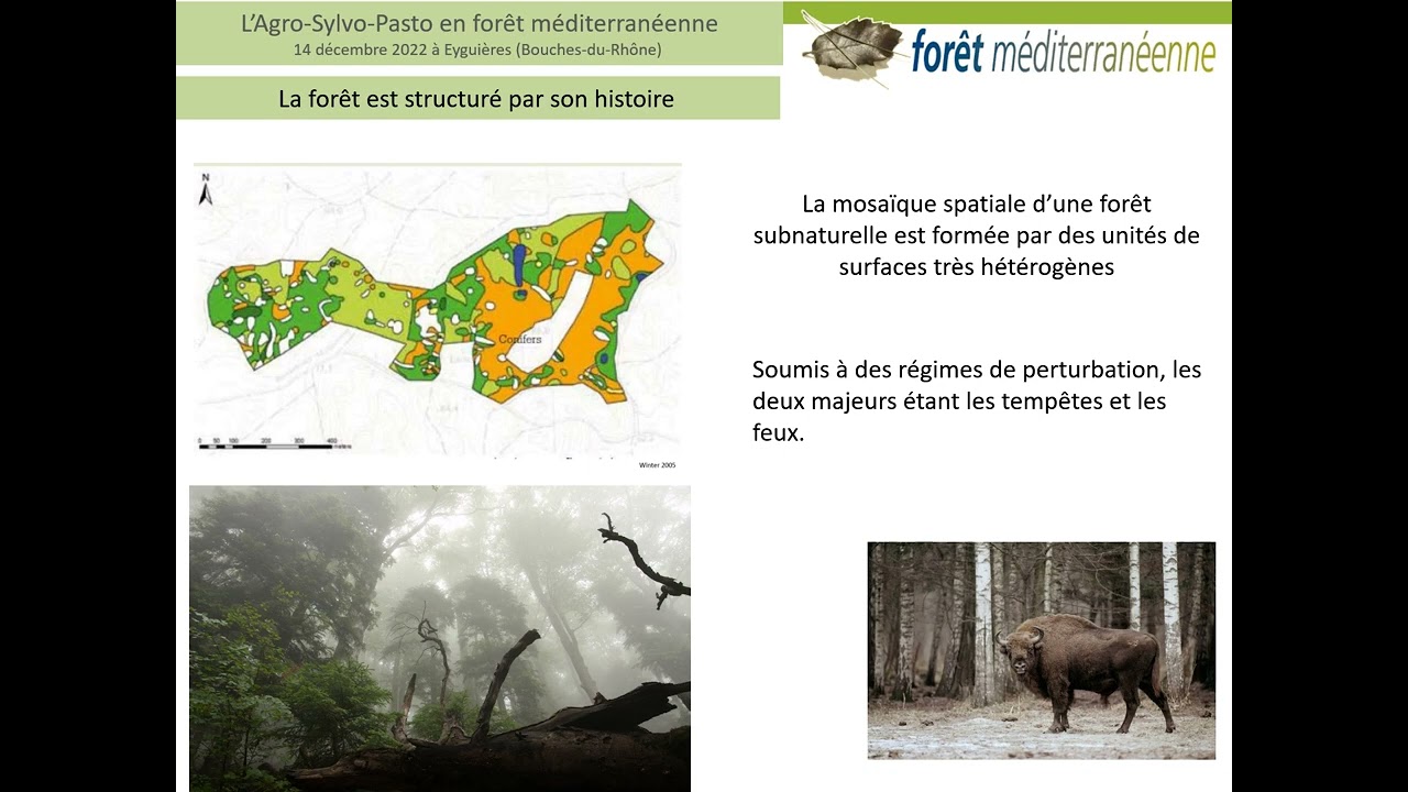 Apport du sylvo-pastoralisme pour la biodiversité par Nicolas Gouix