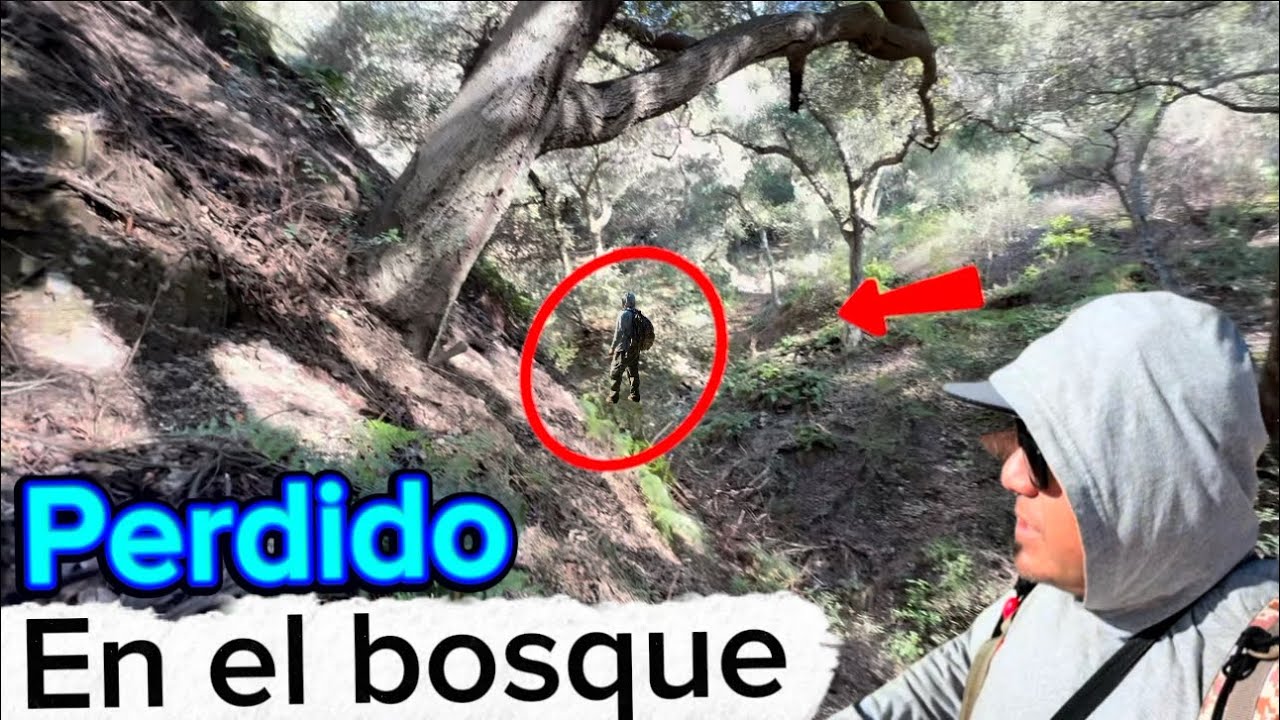 Perdido en el bosque Montaña 🥹