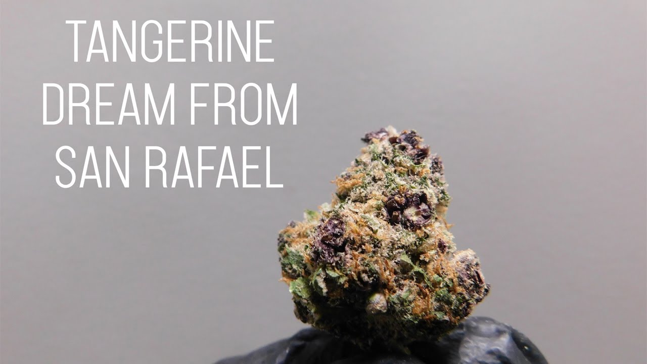 Tangerine Dream from San Rafael