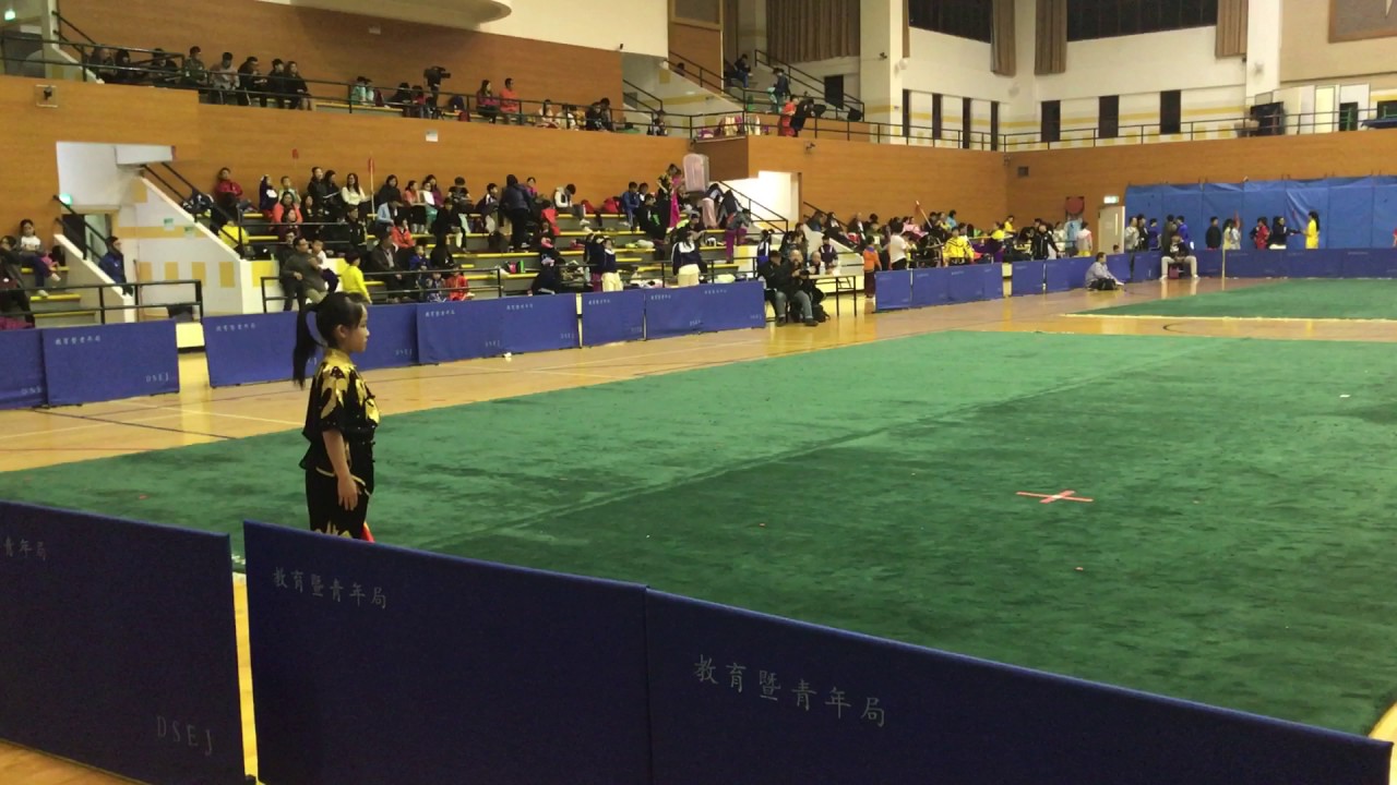 2017学界武术比赛初级刀术