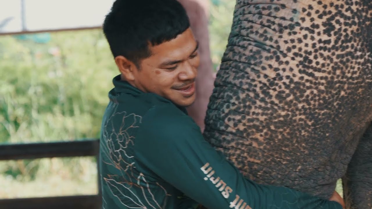 The Culture Story Elephant Paradise EP.1 | วิถีชีวิตคนกับช้างหมู่บ้านตากลาง จ.สุรินทร์