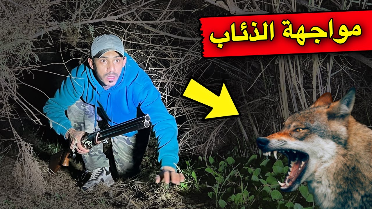 تخييم وسط الذئاب يوم كامل !!😳