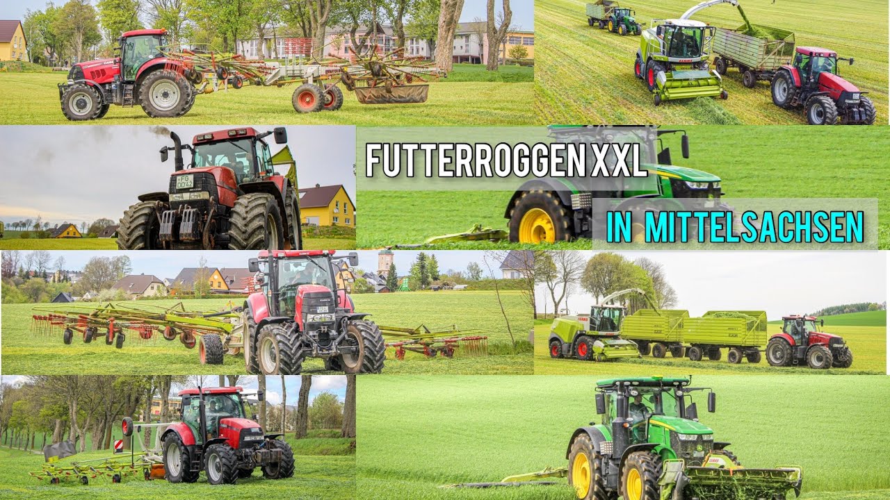 Futterroggen  XXL | Vom m&auml;hen bis zum h&auml;ckseln | Sachsens Agrarfilmer
