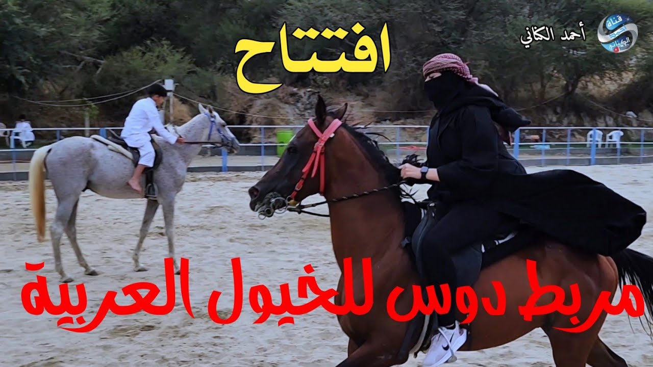 افتتاح مربط دوس للخيول العربية - بحلتة الجديدة  -  محافظة المندق - منطقة الباحة  28-1-1446