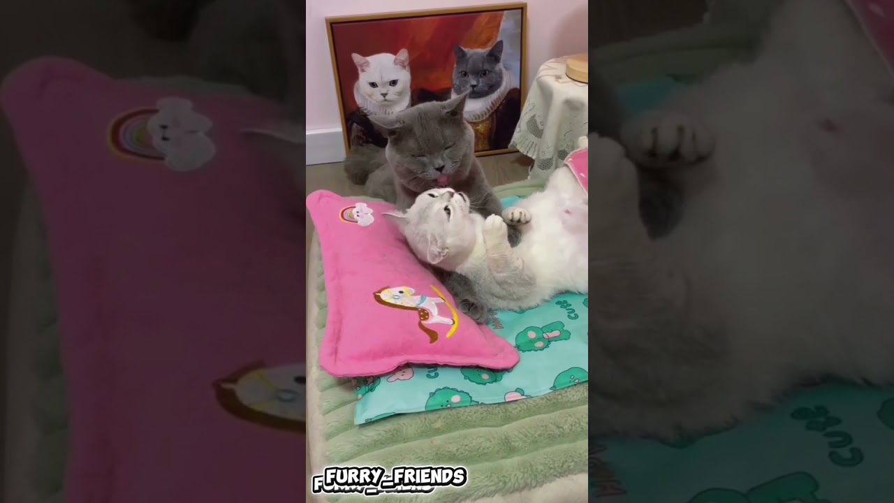 The Internet Needs to See This