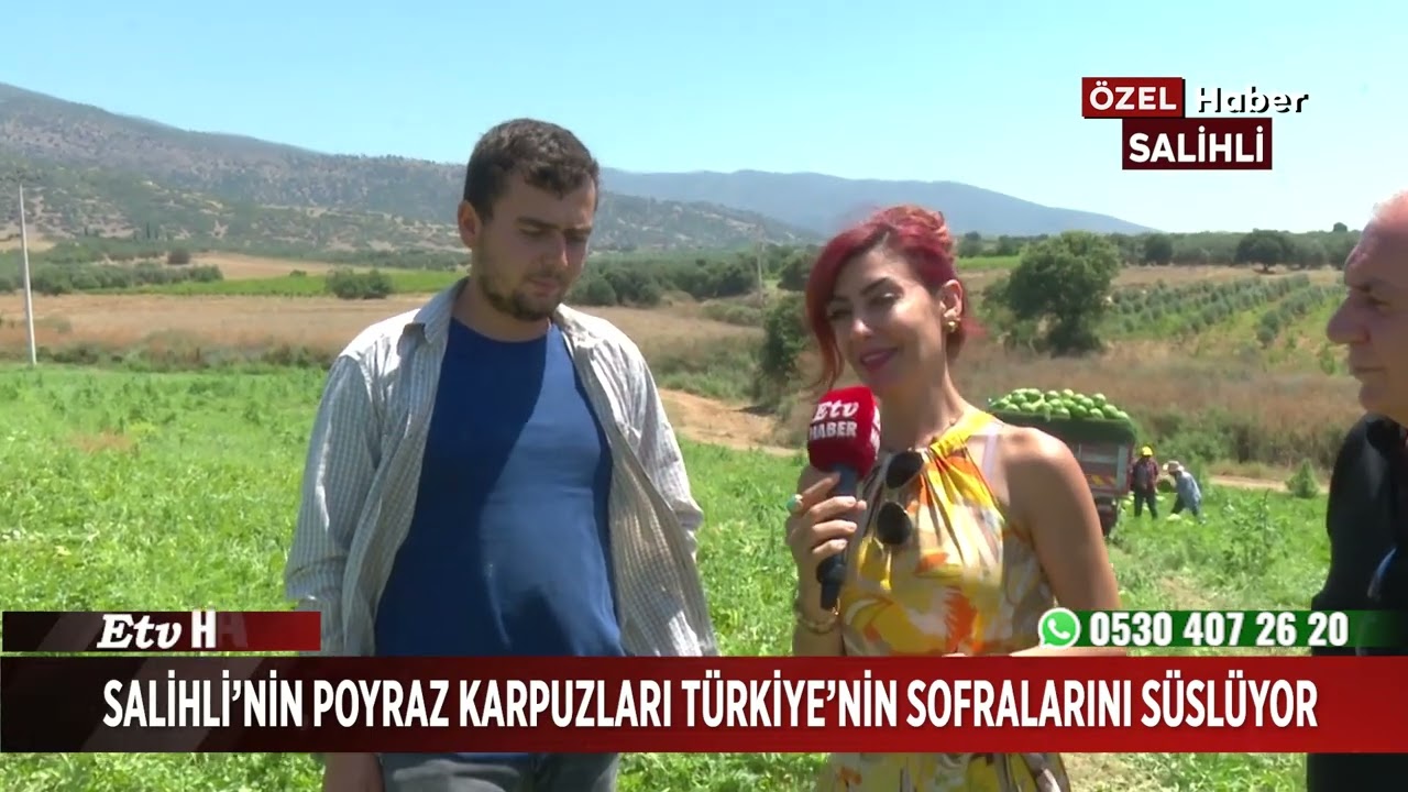 Salihli'nin Poyraz Karpuzları Türkiye'nin Sofralarını Süslüyor