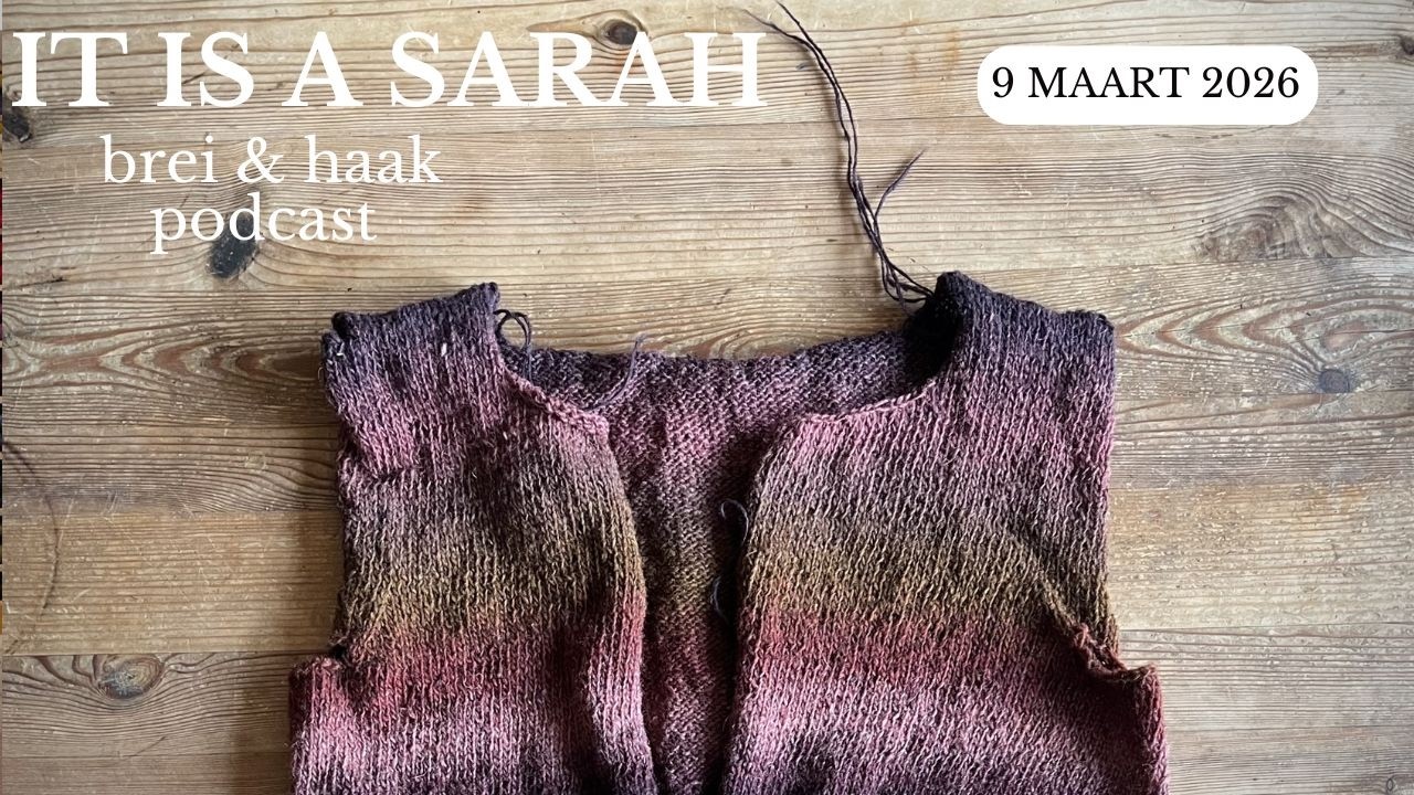 🇳🇱  It Is A Sarah | Eindelijk een paar uitstelwerkjes oppakken & meer