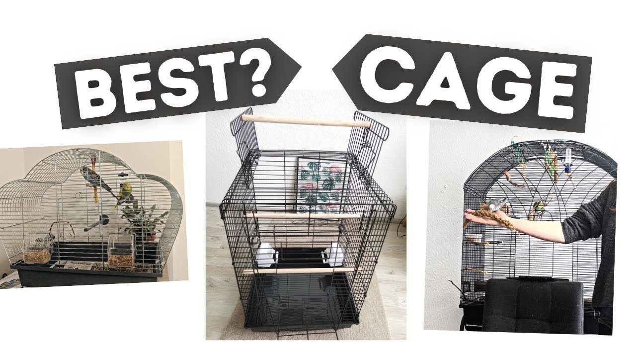 Which cage should I choose for my budgie?