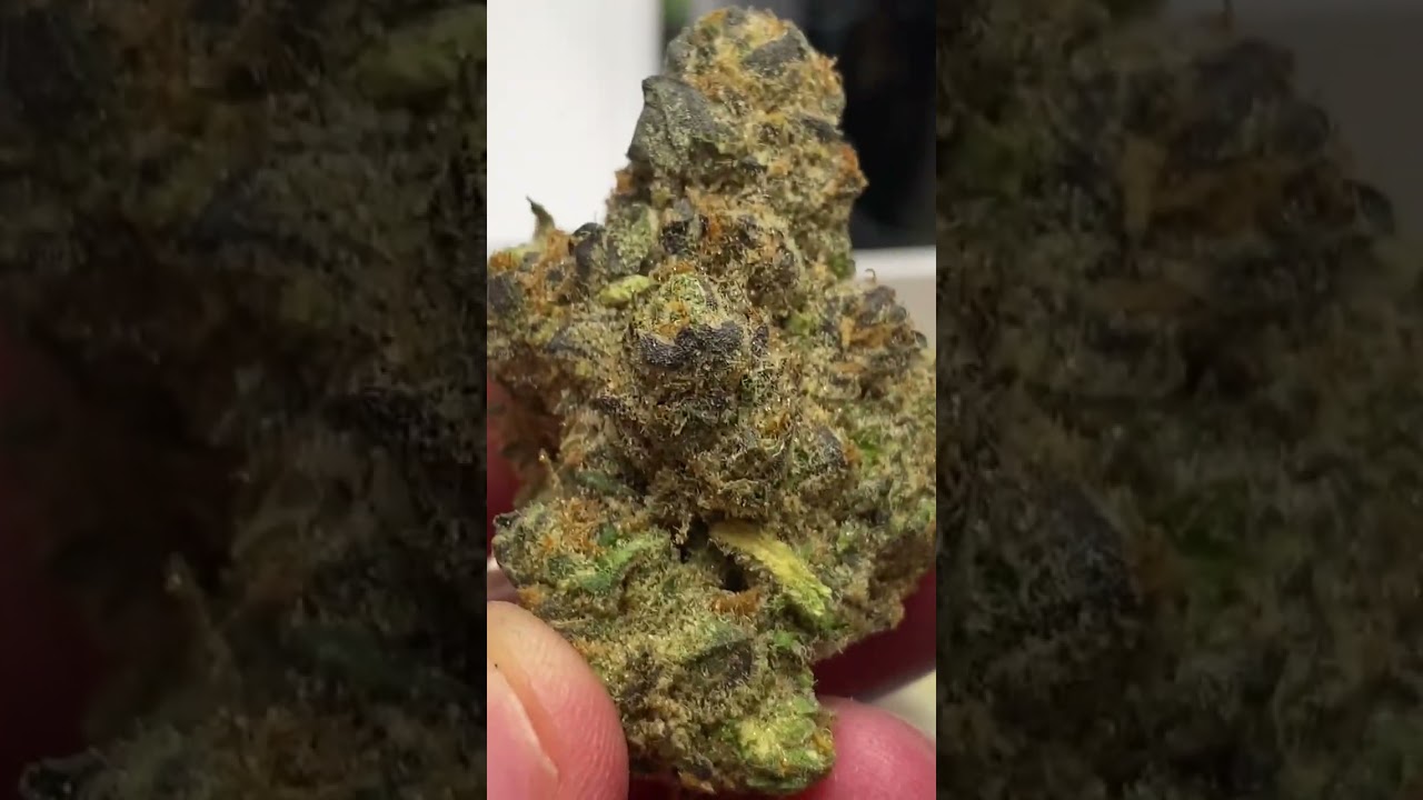 710 labs Smarties #7 #710 #craftcannabis