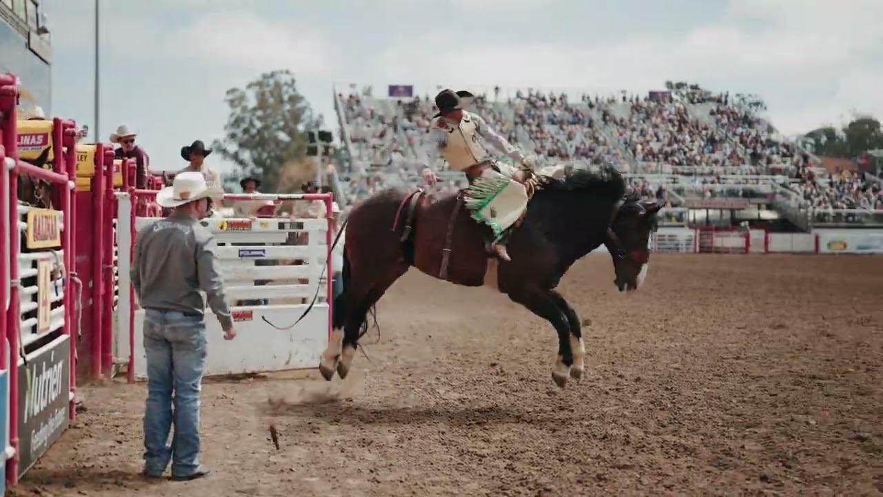 Saddle Bronc Perf 4 Highlights - Salinas Rodeo