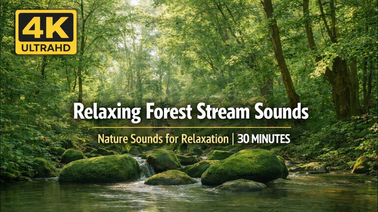 🌿 Relaxing Nature Sounds – Peaceful Forest Stream for Deep Relaxation