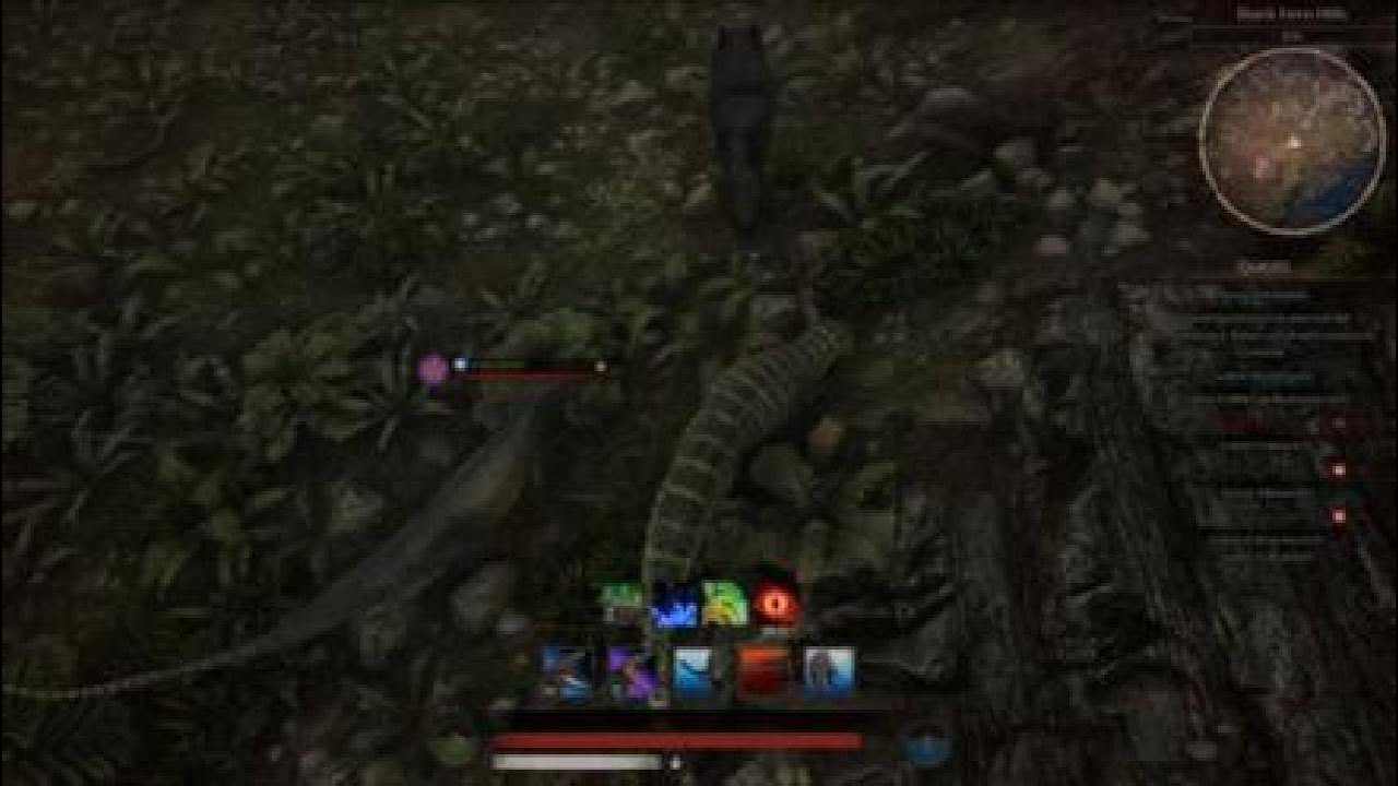POPO ON THE HUNT #2 (POT)