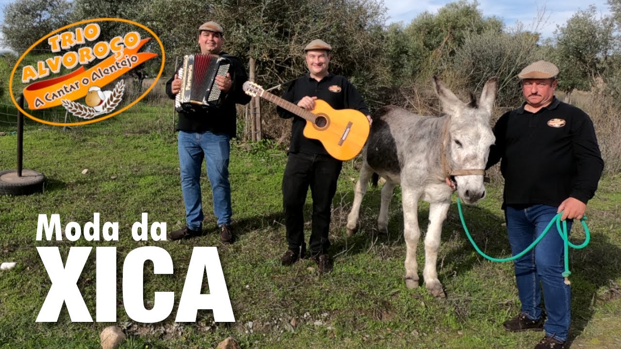 Trio Alvoroço - Moda da Xica