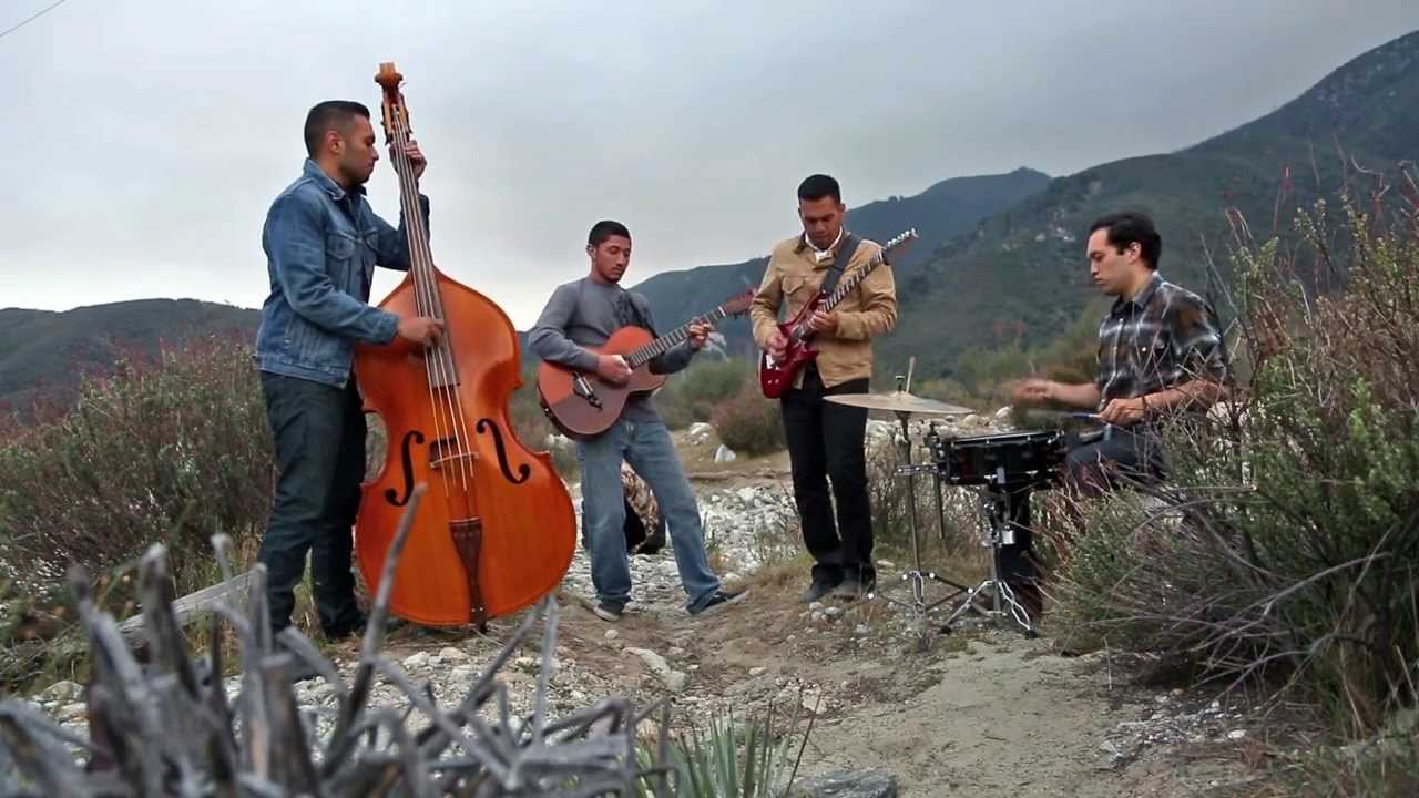 Sleepwalk (Cover)