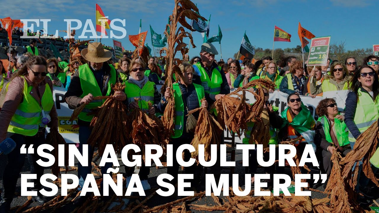 Los AGRICULTORES EXTREMEÑOS cortan carreteras para PROTESTAR por los PRECIOS del CAMPO