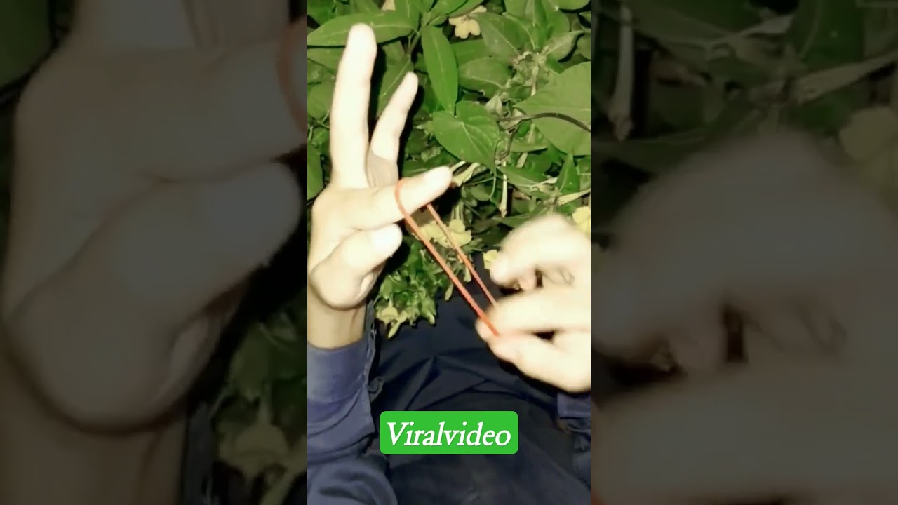 viralvideo