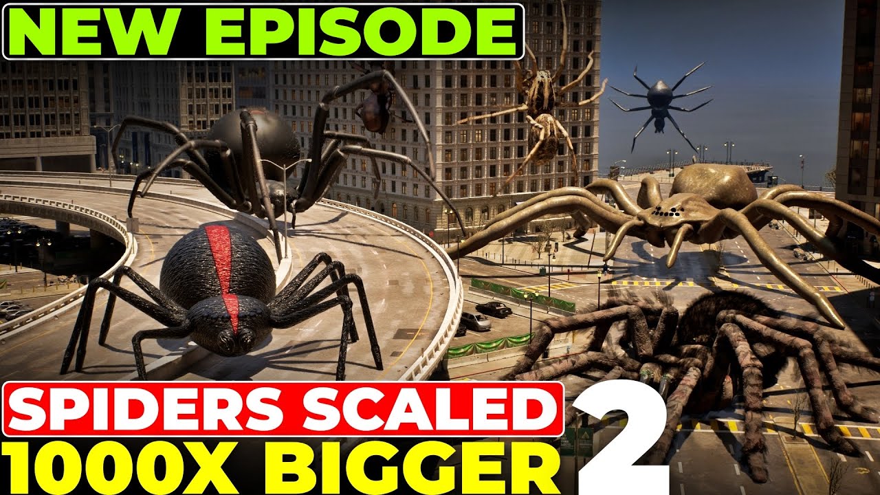 What If Spiders Were Scaled 1000 Times Bigger? 2 | Imaginary Comparison Spiders 3D
