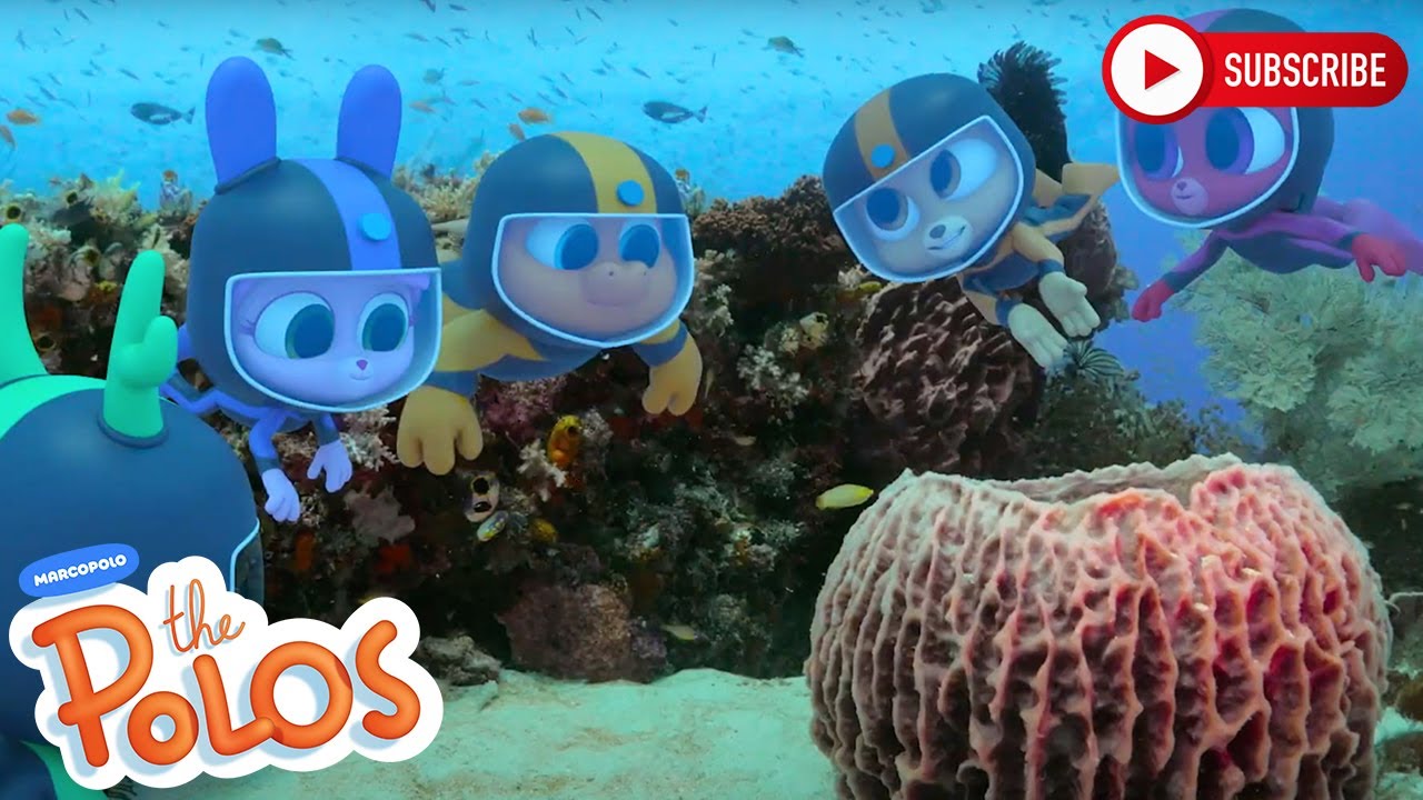 Learning about the ocean | The Polos | Adventure Learning | Learn At Home