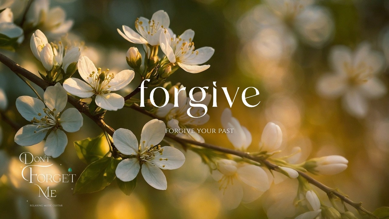 Forgive the Past Relaxing Guitar 🍃🤍  Music for Sleep, Study & Forgiveness | Peaceful Acoustic