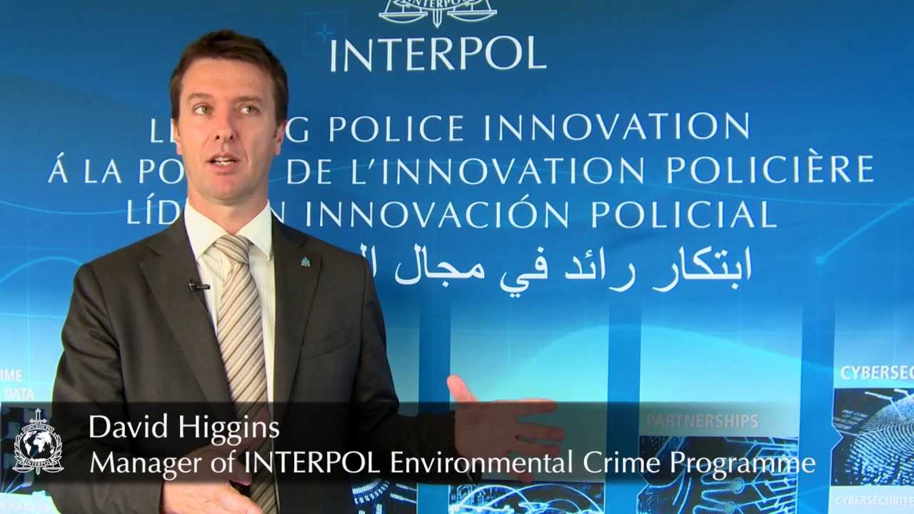 David Higgins, Manager of INTERPOL Environmental Crime Programme