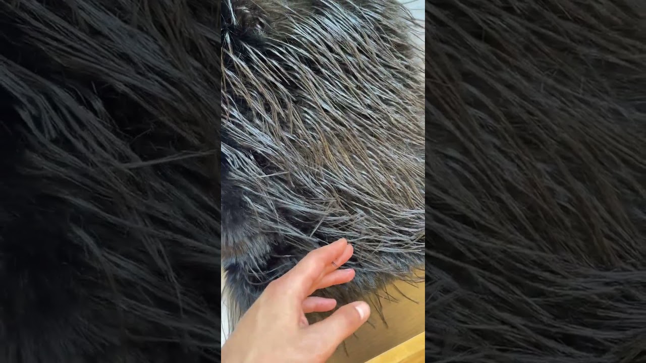 Экомех MIROFOX / коллекция Yaki Silk &laquo;Шелковый Як&raquo; / цвет &mdash; Onyx