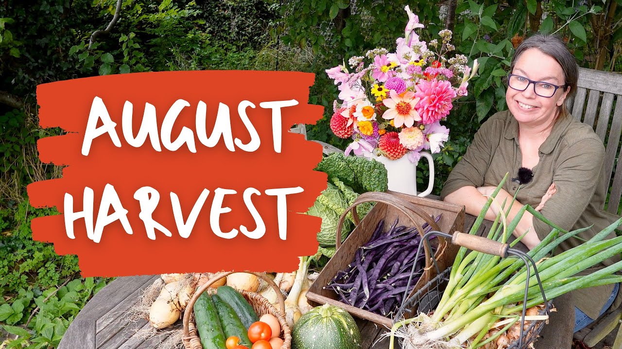HARVESTING AND A GIFT FOR YOU!