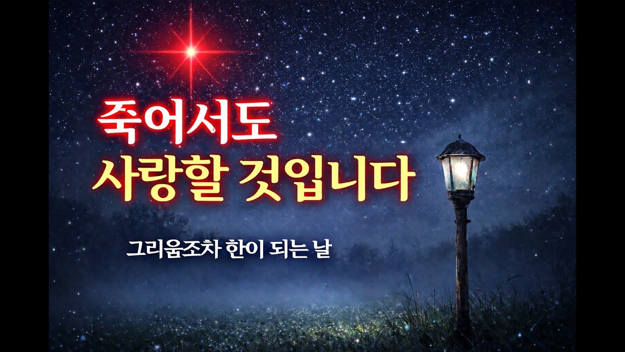 죽어서도 사랑할 것입니다 | 잠들기 전 듣는 감성 시노래 | 그리움조차 한이 되는 밤