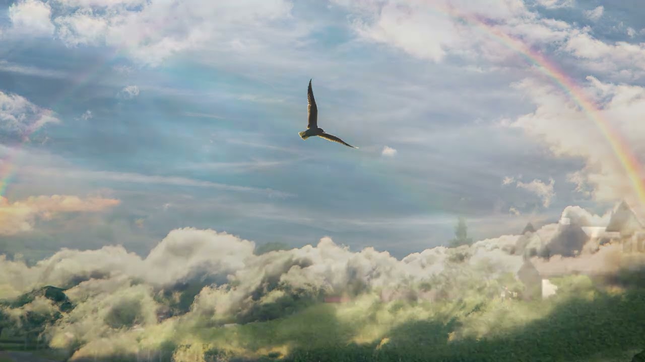 Seek the Rainbow
