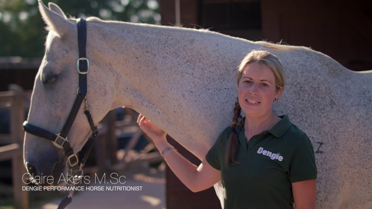 Feeding the Senior Horse or Pony