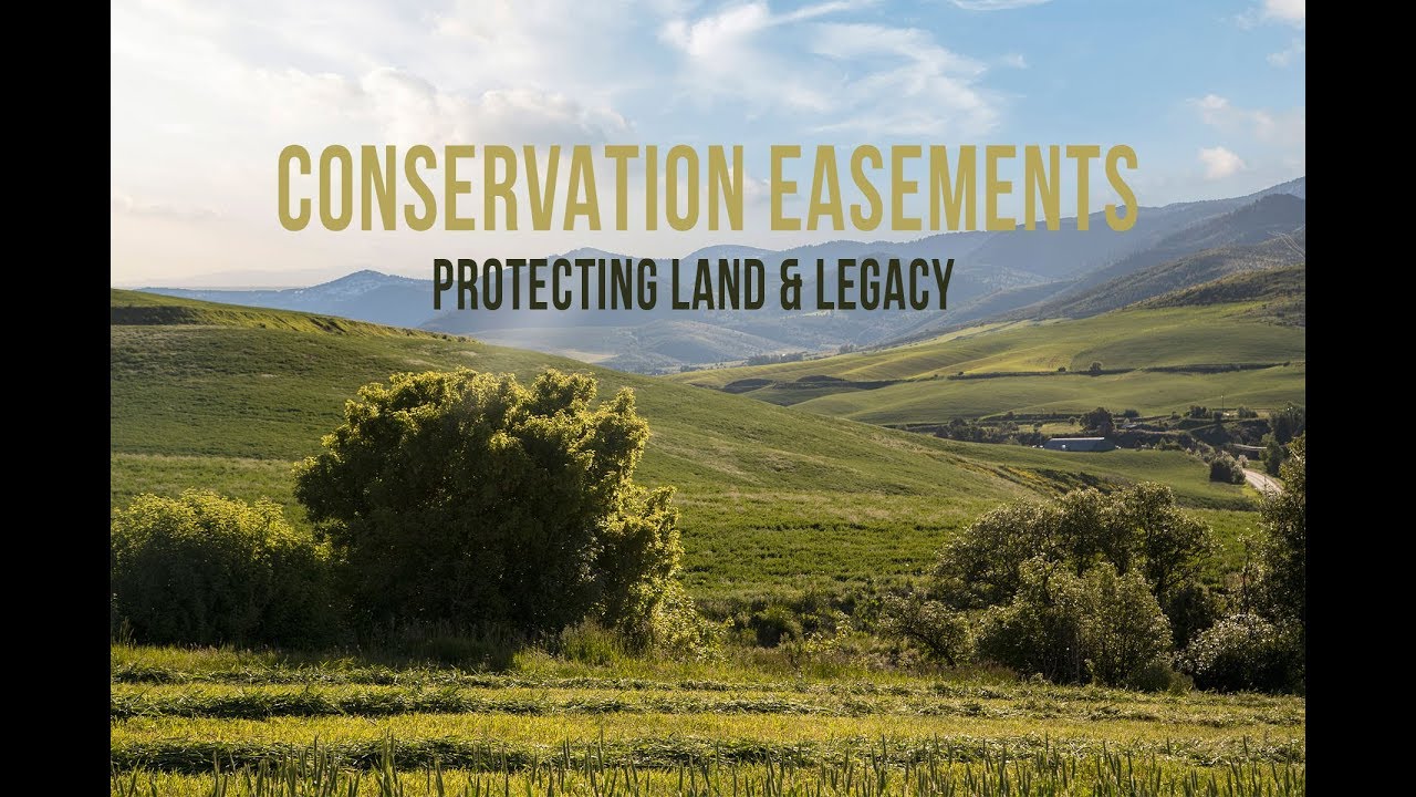 Conservation Easements: Protecting Land & Legacy