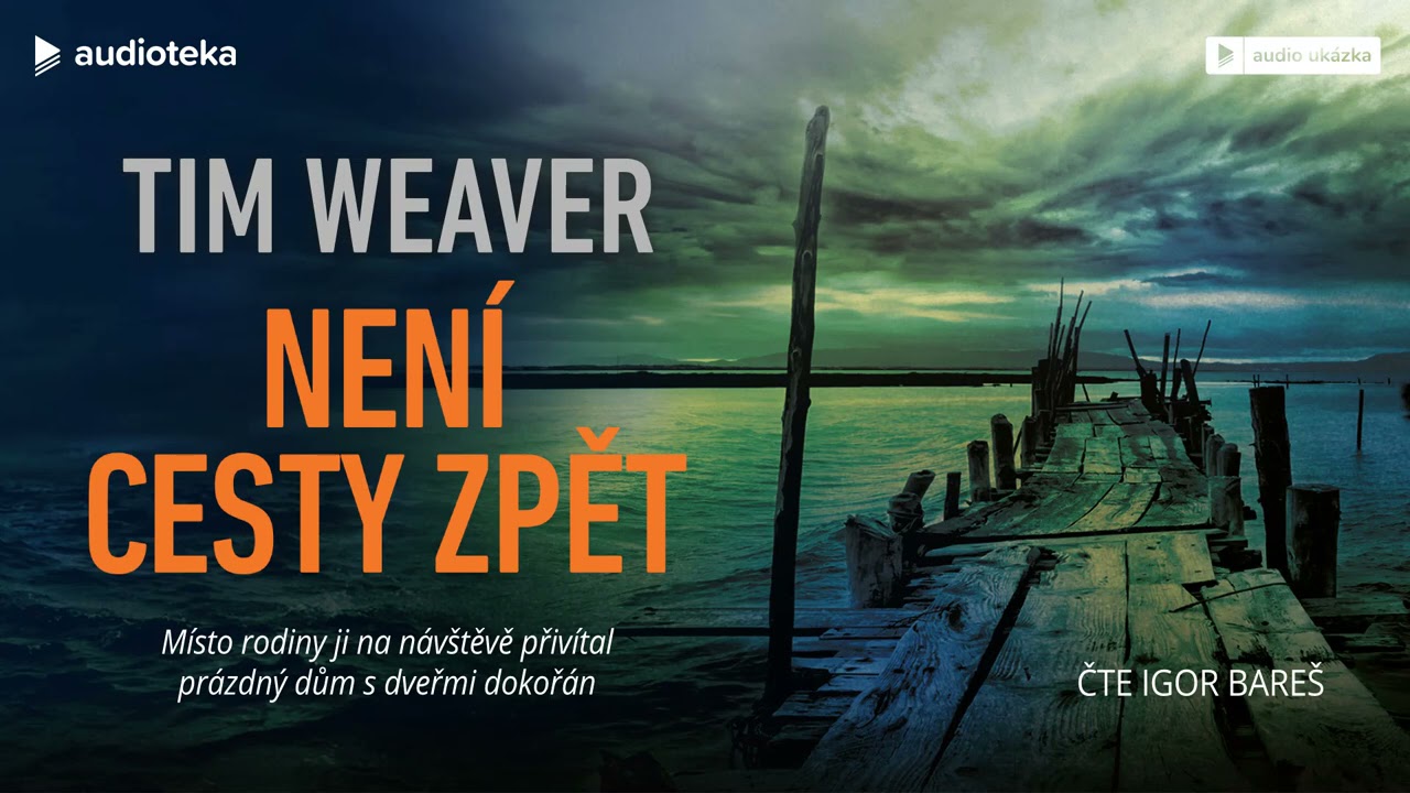 Tim Weaver - Není cesty zpět | Audiokniha