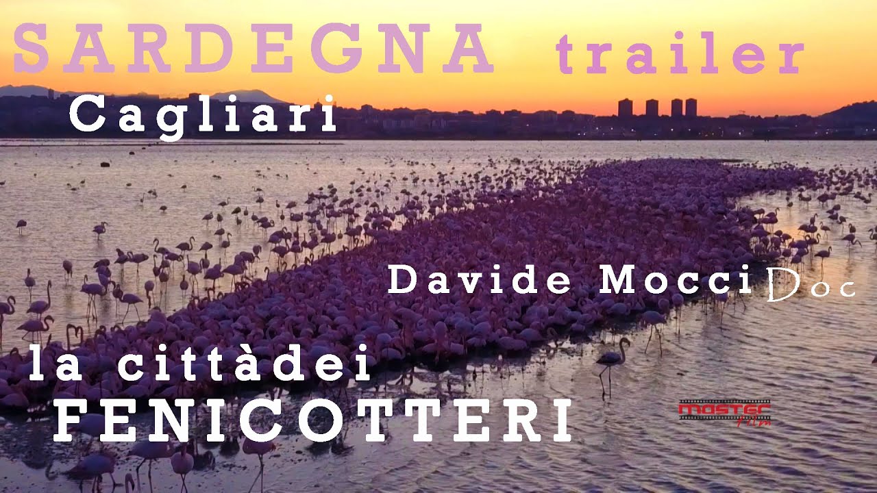 TRAILER - CAGLIARI LA CITTA' DEI FENICOTTERI di Davide Mocci DOC RAI GEO - SARDEGNA NATURA