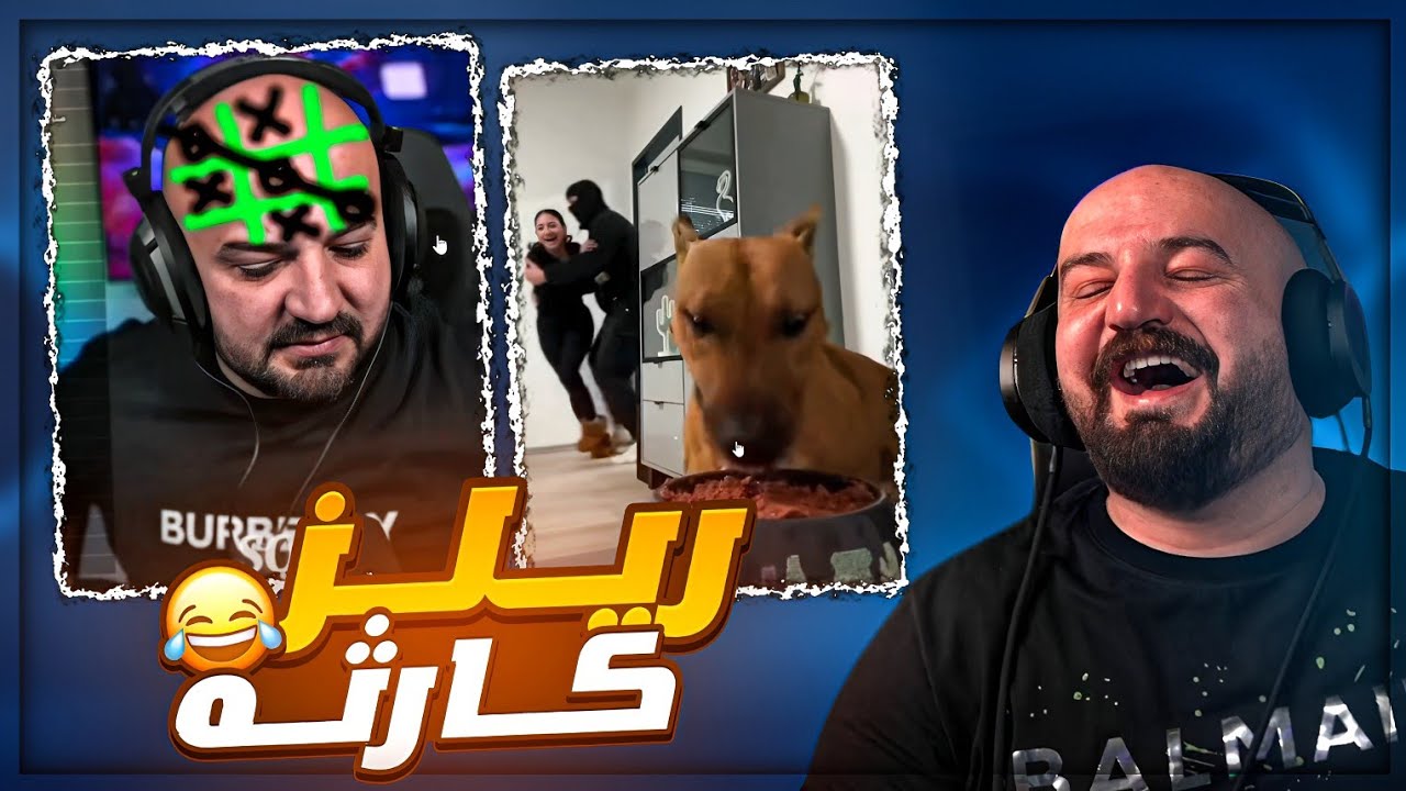 الهجوم شغال… والكلب ولا على باله 🐕🤣 ردة فعل مقاطع ريلز ! 😂