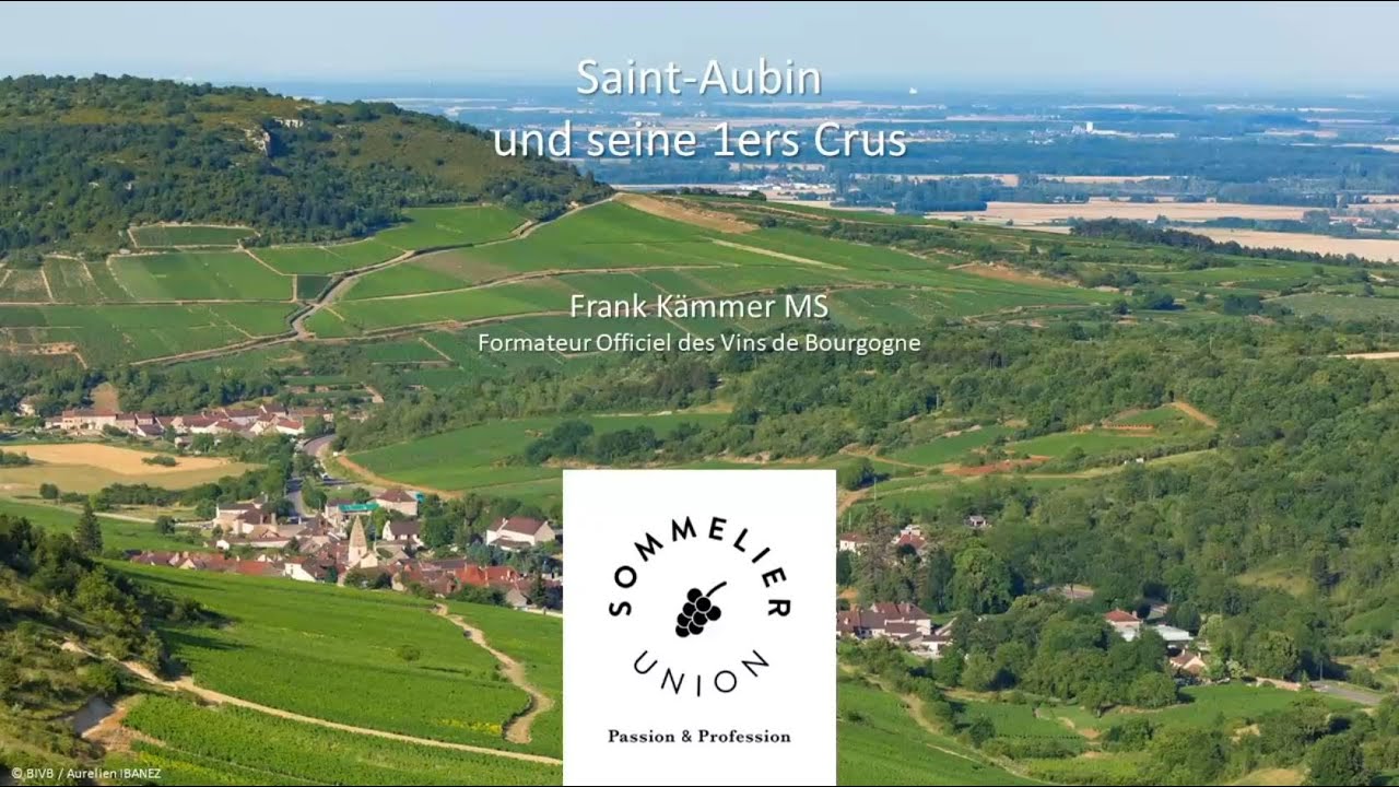 Burgund - Frank Kämmer MS beschreibt Saint Aubin und seine 1ers Crus