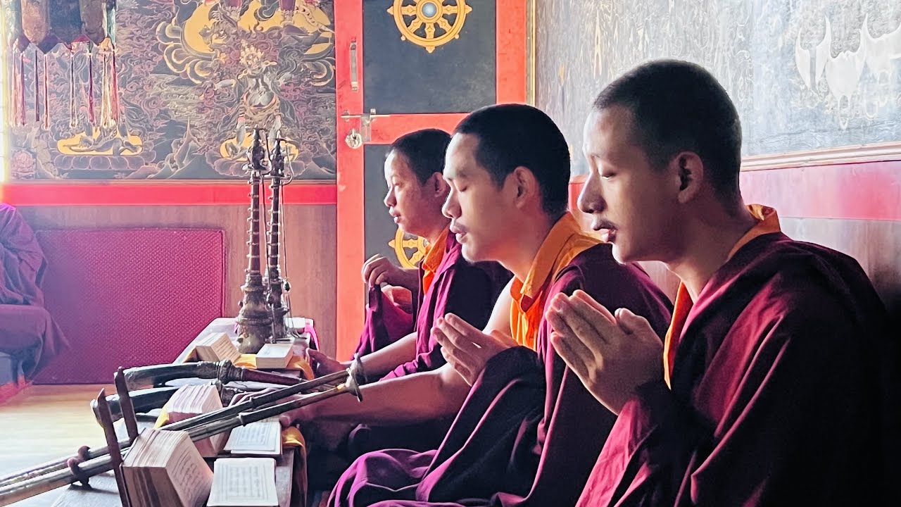 Mahakala pujaa at Namdroling Monestery for world peace ✌️