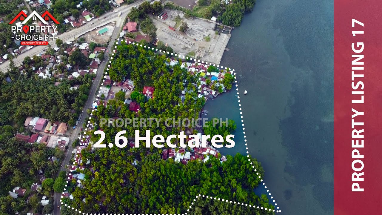 2.6 HECTARES BGRY. LUBO, STA. CRUZ | DAVAO DEL SUR
