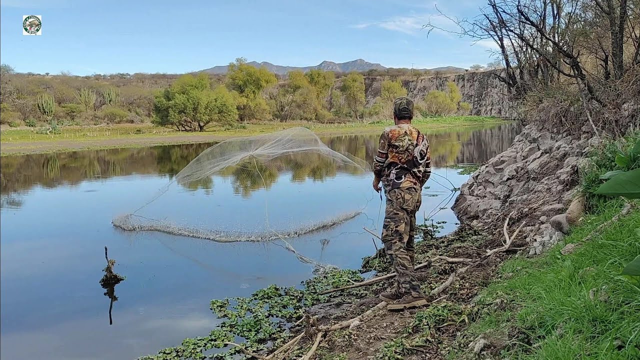 Calando tarraya nueva salieron las monstruo en los arroyos y carpas gigantes