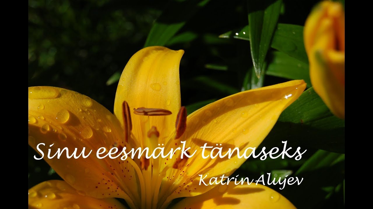 Sinu eesmärk tänaseks