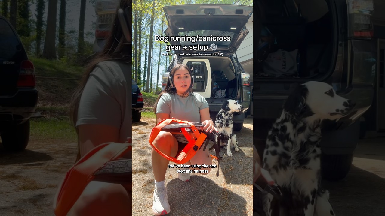 Dog running/canicross gear + setup! 🐕 🏃🏽&zwj;♀️