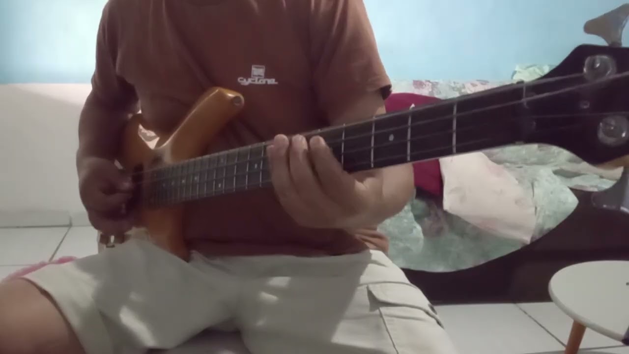PET Shop BOYS...its shop boys....Bass cover 
