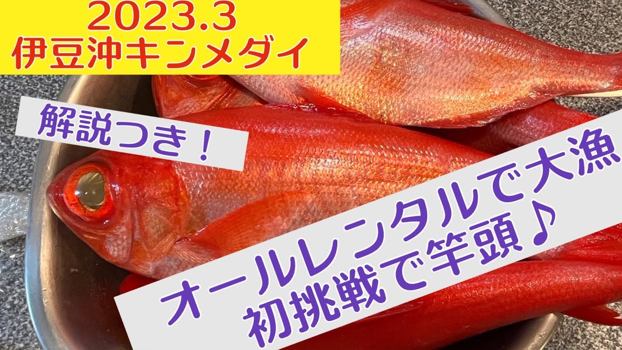 南伊豆キンメダイ！オールレンタルで挑む超高級魚(´∀｀)