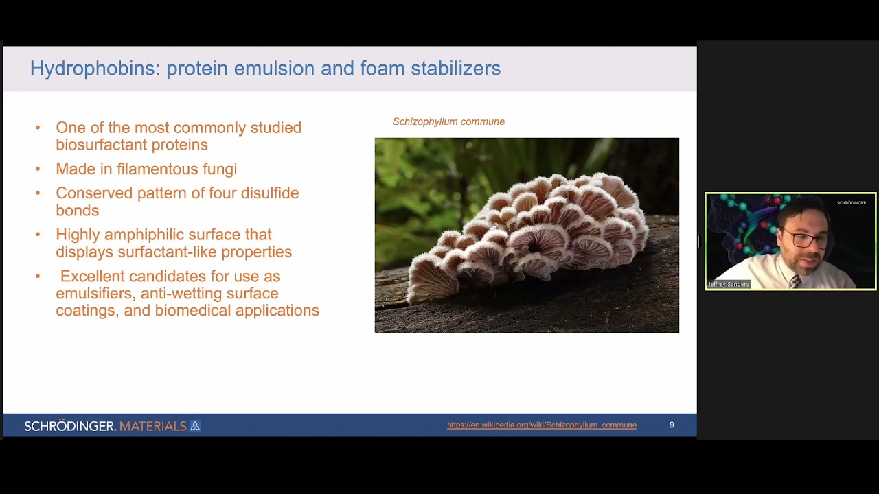 Structure-function relationships of protein based surfactants for food emulsions & foams