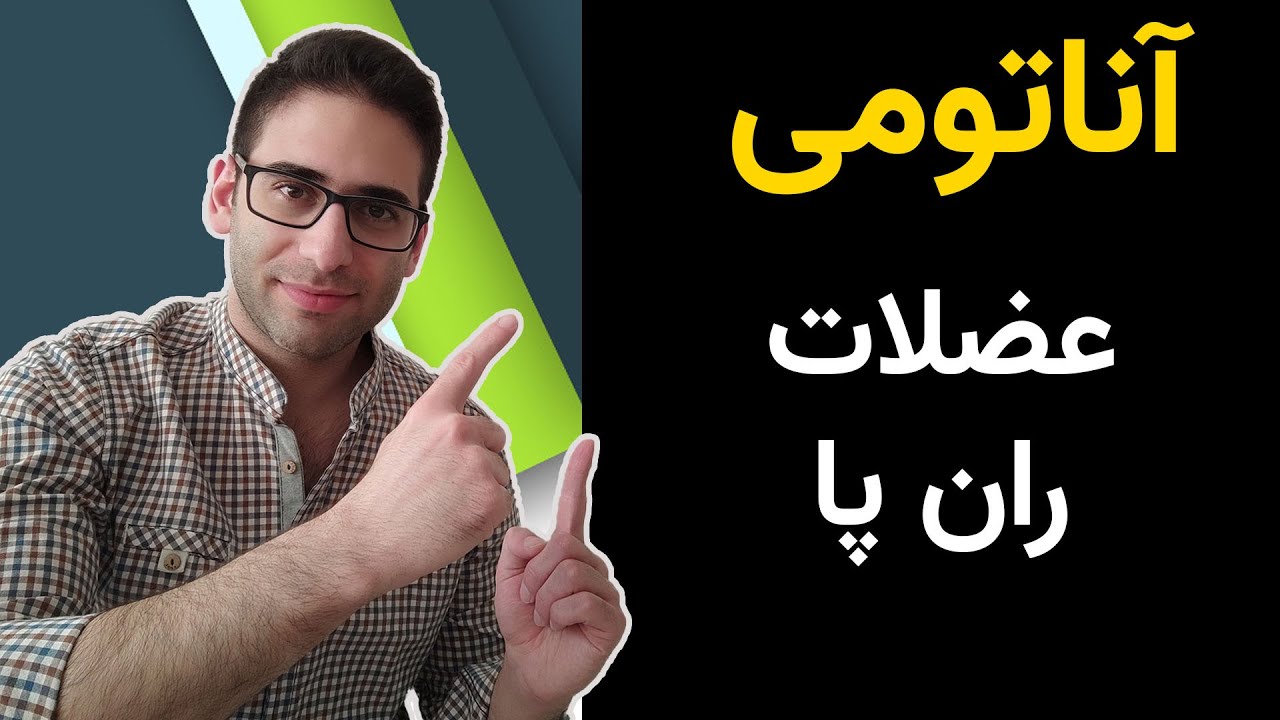 آناتومی عضلات ران