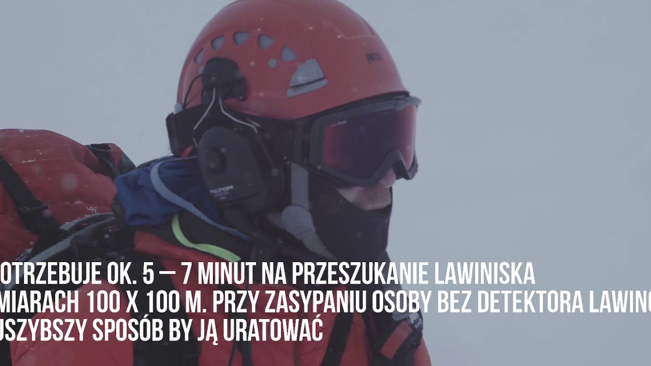 Kampania „Pies na służbie”