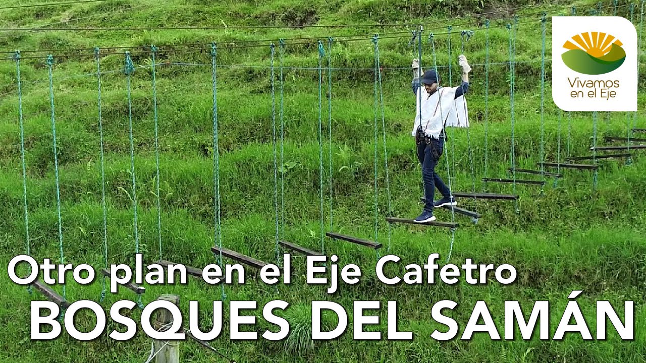 OTRO PLAN EN EL EJE CAFETERO | BOSQUES DEL SAMÁN
