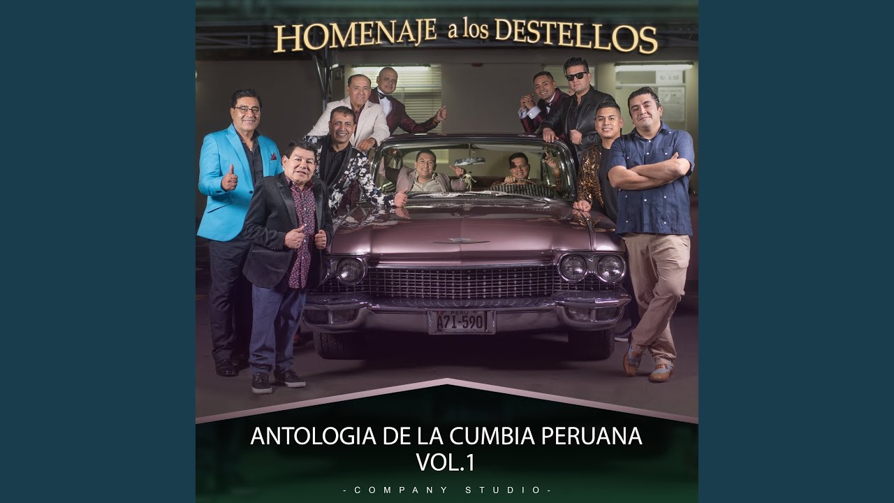 Mix Instrumental los Destellos: Caminito Serrano / Amor Andino / Patricia / El Avispón / El...