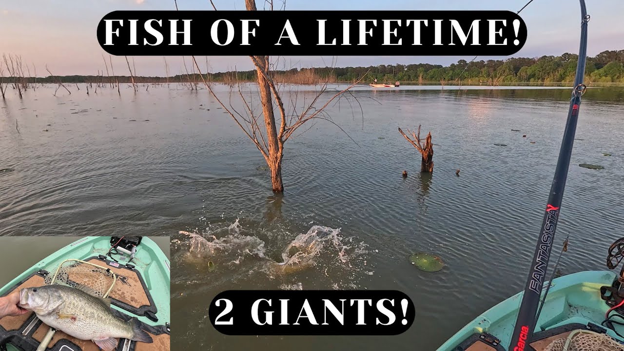 Caught 2 GIANT Bass - Kayak fishing from my Bonafide XTR130!
