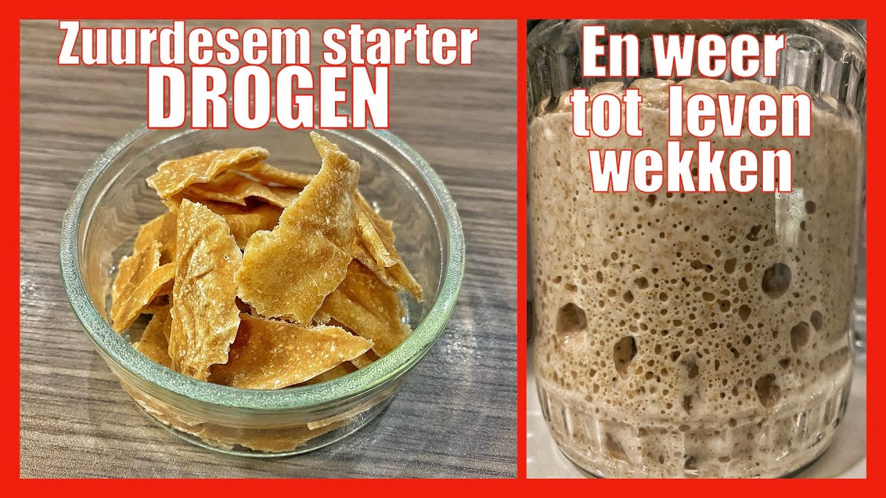 Zuurdesem Starter Drogen En Weer Tot Leven Wekken