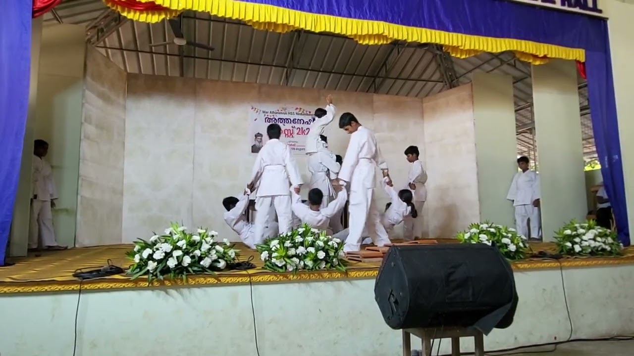 🔥Dynamic Karate Performance by MAHSS Students | Annual Day 2K26