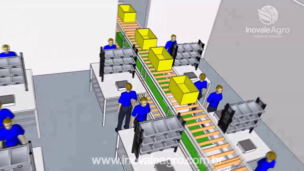 Packing House 3D - Uva de Mesa | Layout de Produ&ccedil;&atilde;o Individual